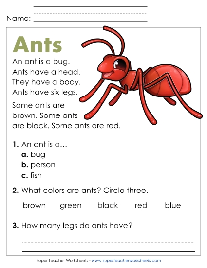Reading Comprehension and Additional ELA Skills - Ants Reading Comprehension and Additional ELA Skills - Ants