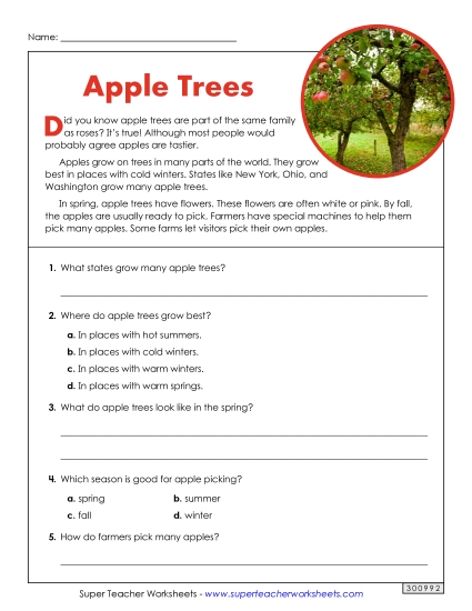 Short Passages - Apple Trees (Short, Nonfiction) Short Passages - Apple Trees (Short, Nonfiction)