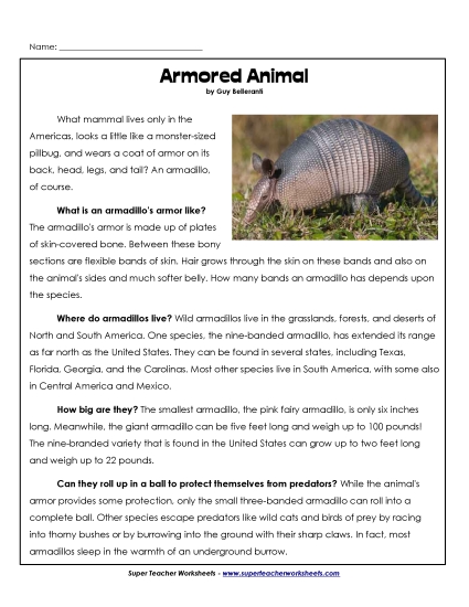 Mammals - Armadillos Mammals - Armadillos