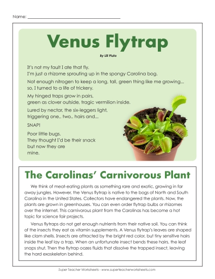 Stories & Articles - Article & Poem: Venus Flytraps Stories & Articles - Article & Poem: Venus Flytraps