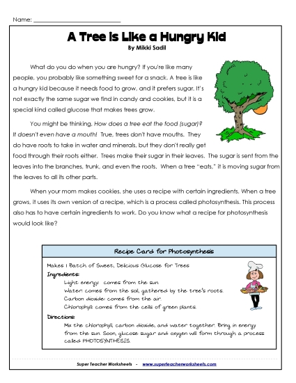 Stories & Articles - Article: Photosynthesis Stories & Articles - Article: Photosynthesis