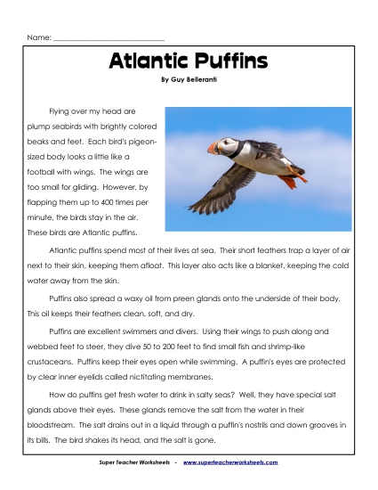 Reading Comprehension - Atlantic Puffins Reading Comprehension - Atlantic Puffins