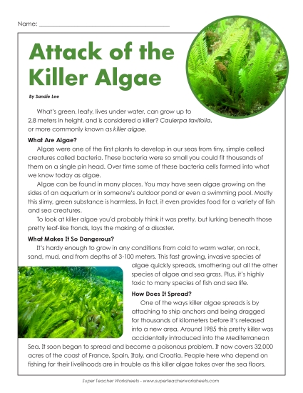 Nonfiction Articles - Attack of the Killer Algae