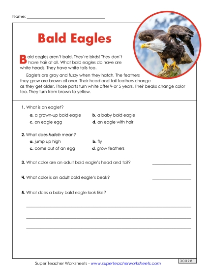 Short Passages - Bald Eagles (Short) Short Passages - Bald Eagles (Short)