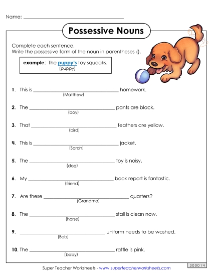 Singular Possessive Only (Basic) - Basic Possessive Nouns