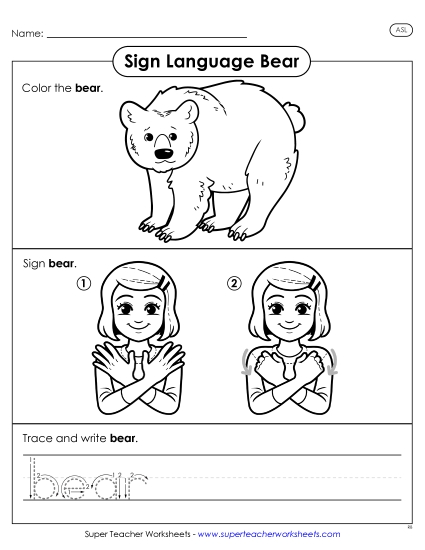 Animals - Bear (Printable PDF Worksheet)