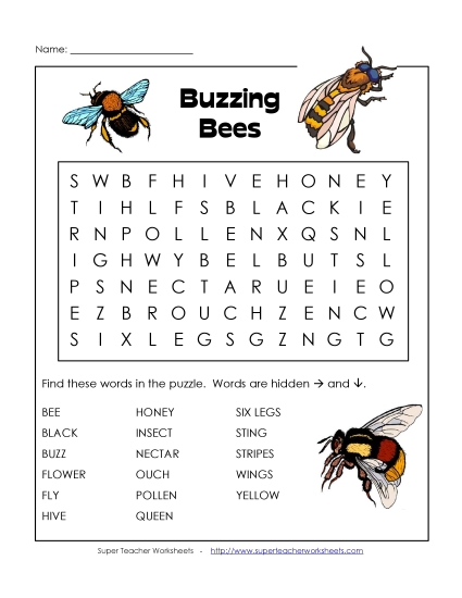 Basic (Grades K-3) - Bees Basic (Grades K-3) - Bees
