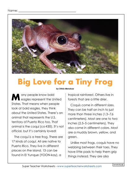 Reading Comprehension - Big Love for a Tiny Frog