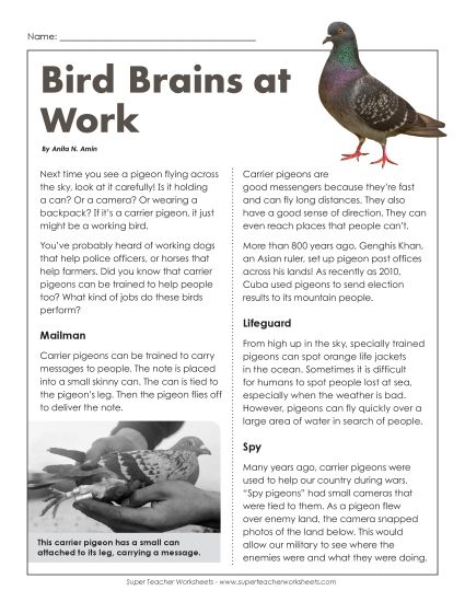Greek Gods Series - Bird Brains At Work Greek Gods Series - Bird Brains At Work