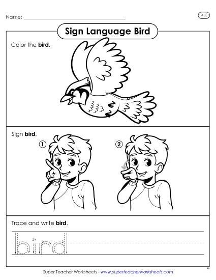 Animals - Bird (Printable PDF Worksheet)