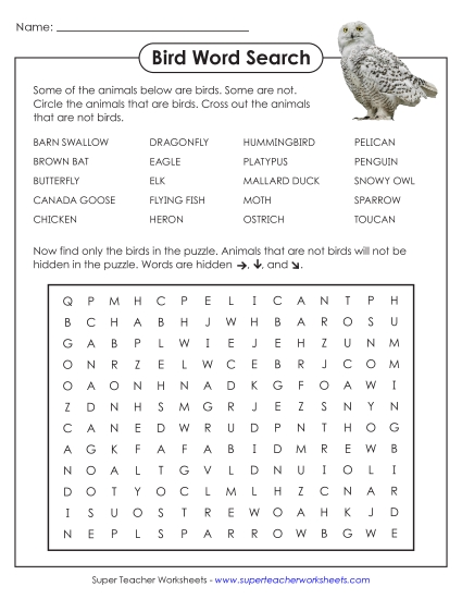 Animal Group Word Searches - Bird Word Search