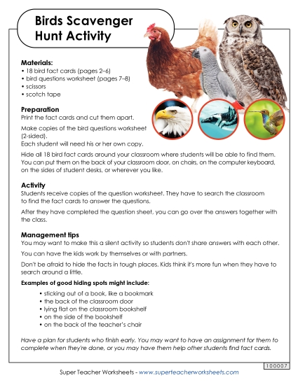 Scavenger Hunts - Birds Classroom Scavenger Hunt Scavenger Hunts - Birds Classroom Scavenger Hunt
