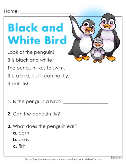 Passages with Basic Reading Comprehension Questions - Black and White Bird Passages with Basic Reading Comprehension Questions - Black and White Bird