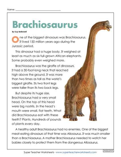 Reading Comprehension - Brachiosaurus