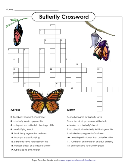Puzzles - Butterfly Crossword (Intermediate)