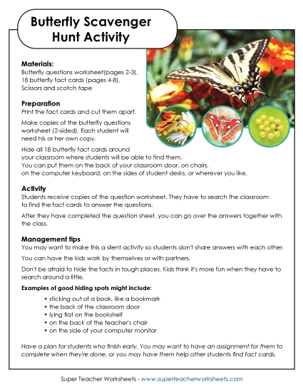 Butterfly Scavenger Hunt