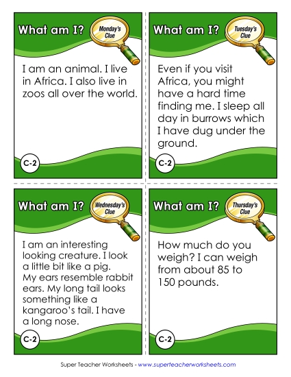 3rd Grade - C2 - Aardvark
