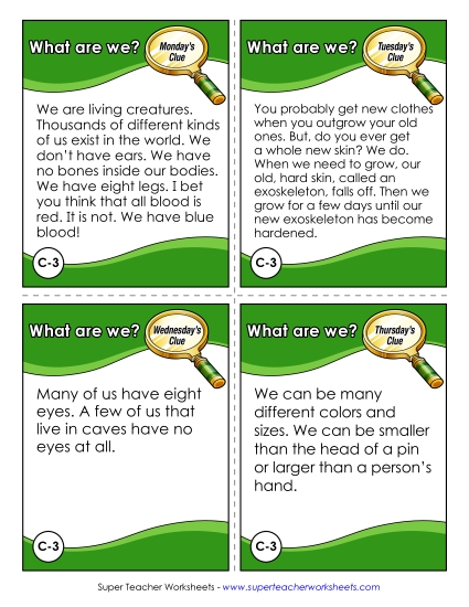 3rd Grade - C3 - Spiders