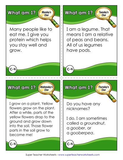 3rd Grade - C4 - Peanut