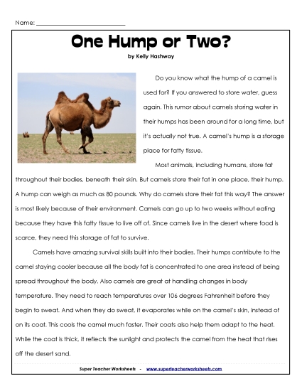 Nonfiction Articles - Camels: One Hump or Two? Nonfiction Articles - Camels: One Hump or Two?