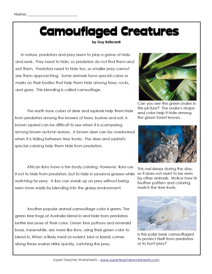 Nonfiction Articles - Camouflage Nonfiction Articles - Camouflage