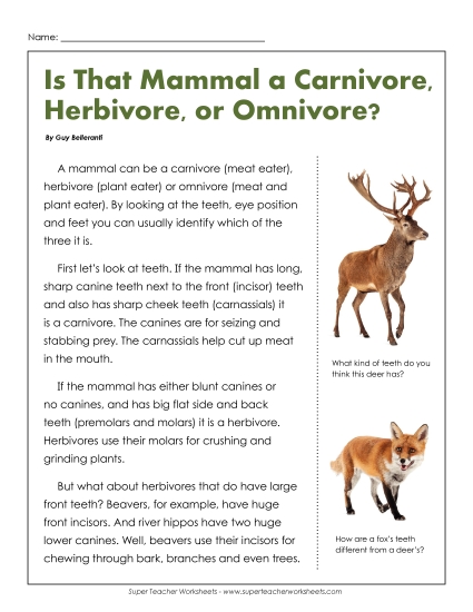 Animal Topics - Carnivores, Herbivores, and Omnivores Animal Topics - Carnivores, Herbivores, and Omnivores