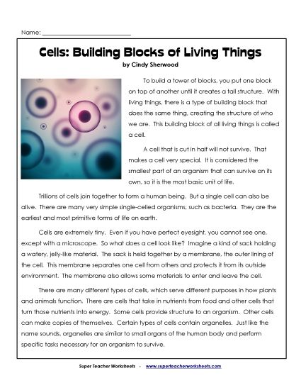 Greek Gods Series - Cells: Building Blocks of Living Things Greek Gods Series - Cells: Building Blocks of Living Things