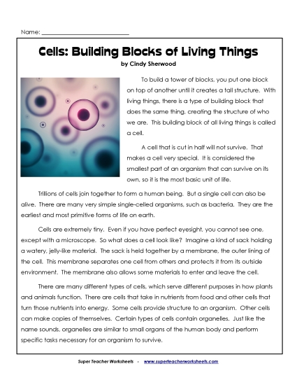 Reading Comprehension Articles - Cells: Building Blocks of Living Things