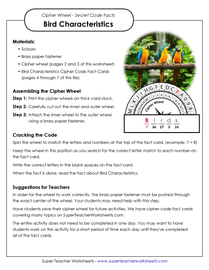Characteristics of Birds Characteristics of Birds