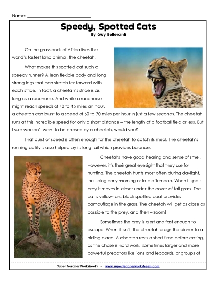 Mammals - Cheetahs Mammals - Cheetahs