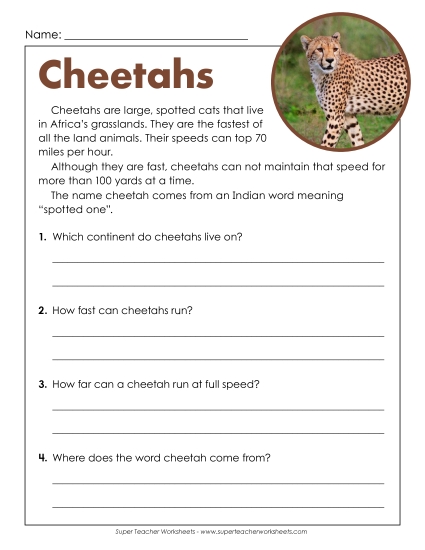 Short Passages - Cheetahs (Short) Short Passages - Cheetahs (Short)