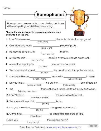 Mixed Homophones - Choose the Homophone #2
