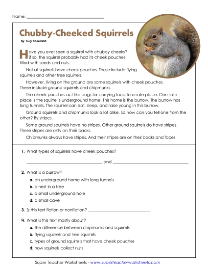 Short Passages - Chubby-Cheeked Squirrels (Short, Nonfiction) Short Passages - Chubby-Cheeked Squirrels (Short, Nonfiction)
