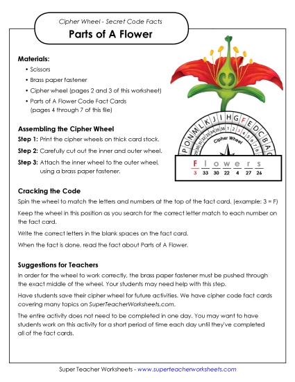 Flowers - Cipher Wheel: Decode the Facts (Flower Parts) Flowers - Cipher Wheel: Decode the Facts (Flower Parts)