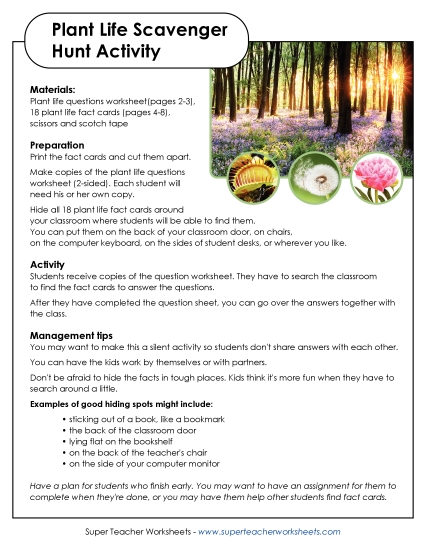Plant Worksheets (Intermediate) - Classroom Scavenger Hunt Plant Worksheets (Intermediate) - Classroom Scavenger Hunt