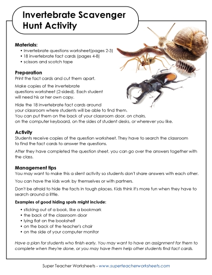Class Game - Classroom Scavenger Hunt