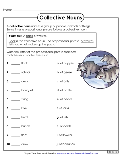 Collective Nouns - Collective Noun Matching