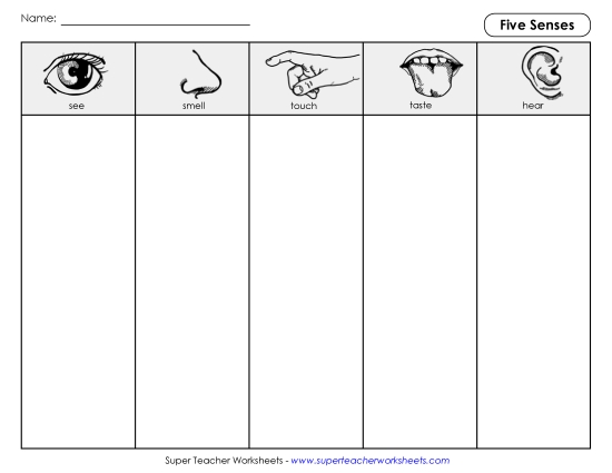 Graphic Organizers - Column Organizer: 5 Senses