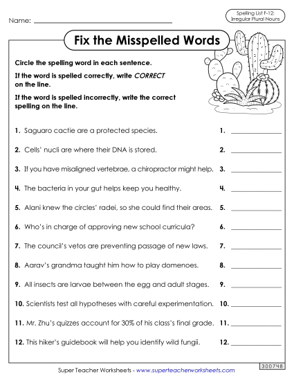 Worksheets and Puzzles - Correct or Incorrect? (F-12)