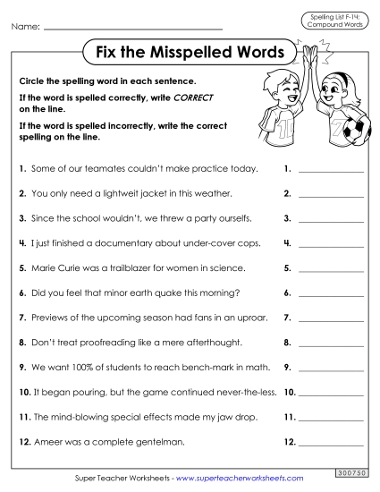 Worksheets and Puzzles - Correct or Incorrect? (F-14)