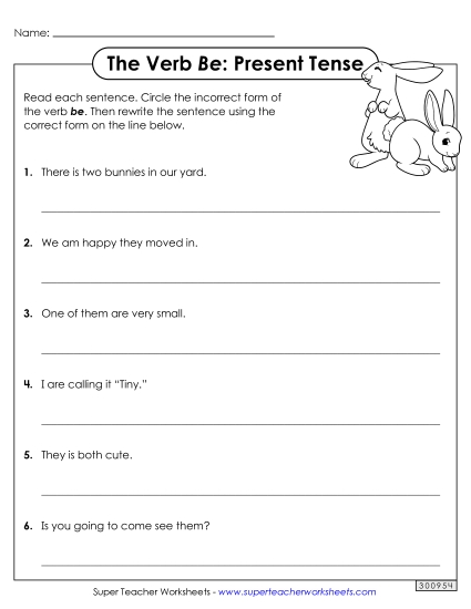 Present Tense - Correct the Sentences (Present Tense)
