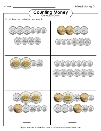 Mixed Coins - Counting Mixed Coins