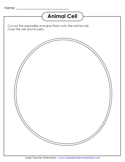 Animal Cells (Basic) - Cut-and-Glue Animal Cell Animal Cells (Basic) - Cut-and-Glue Animal Cell