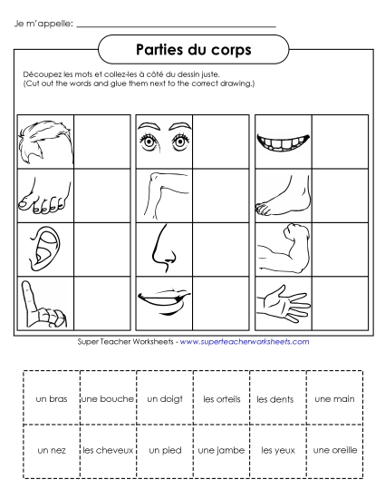 Body Parts (Parties du corps) - Cut-and-Glue: Body Parts Body Parts (Parties du corps) - Cut-and-Glue: Body Parts