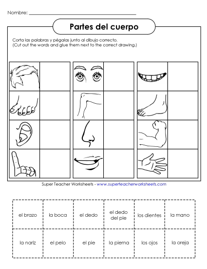 Body Parts (Partes del cuerpo) - Cut-and-Glue: Body Parts Body Parts (Partes del cuerpo) - Cut-and-Glue: Body Parts