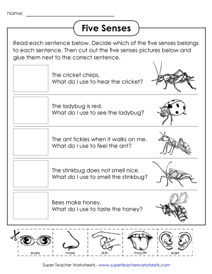Cut & Glue Activities - Cut & Glue: Insects