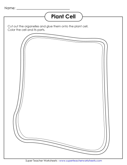 Plant Cells (Basic) - Cut-and-Glue Plant Cell Plant Cells (Basic) - Cut-and-Glue Plant Cell