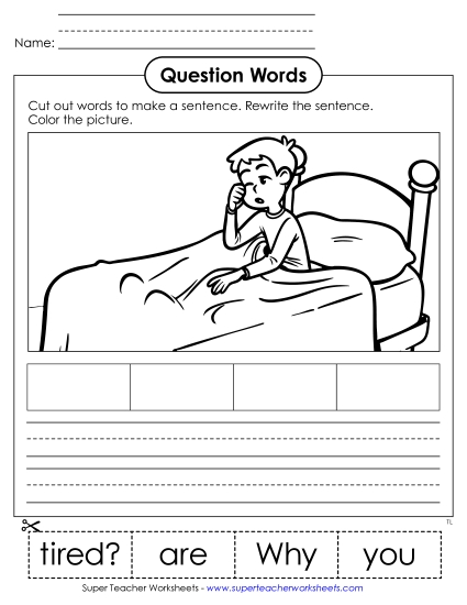 Cut & Glue Activities - Cut-Out Sentence: Why