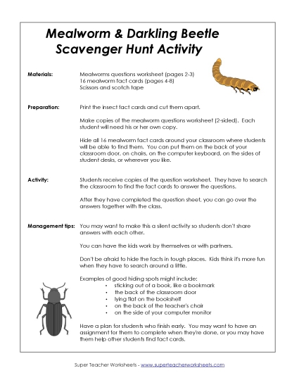 More Mealworm Stuff - Darkling Beetle Scavenger Hunt