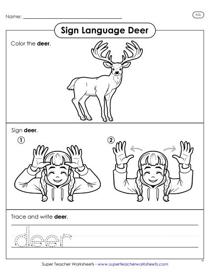 Animals - Deer (Printable PDF Worksheet)